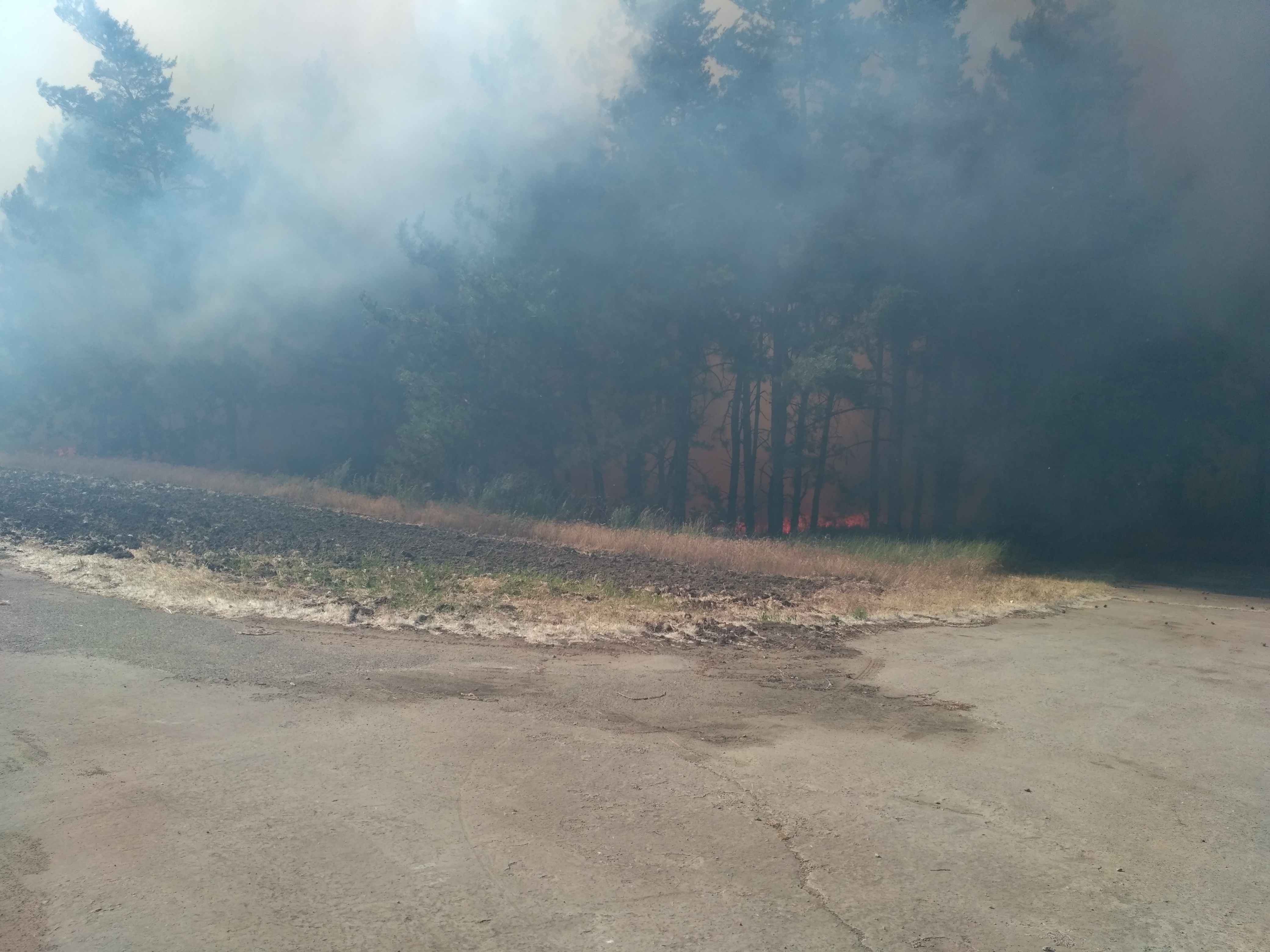 В Запорожской области огонь повредил больше 20 гектаров открытых территорий - ФОТО