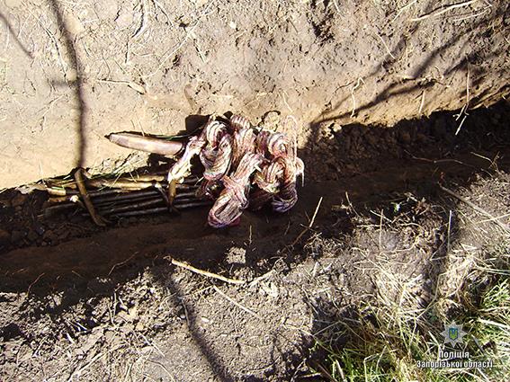 В Запорожской области задержали троих мужчин, выкопавших 240 метров телефонного кабеля  - ФОТО