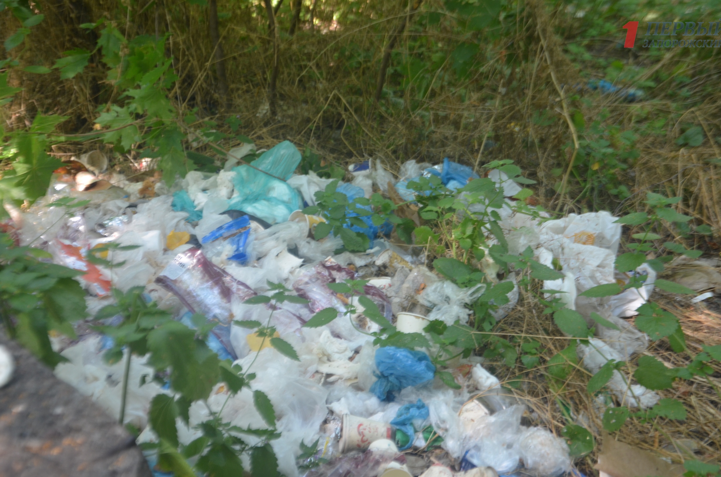 В центре Запорожья «процветает» несанкционированная стихийная свалка мусора - ФОТО