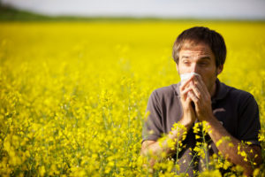 В Запорожской области наблюдается прирост аллергиков