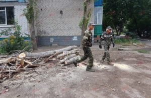 В Запорожской области женщине на голову упала большая ветка сухого дерева - ФОТО