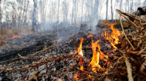 В Запорожской области огонь повредил 15 гектаров открытой местности