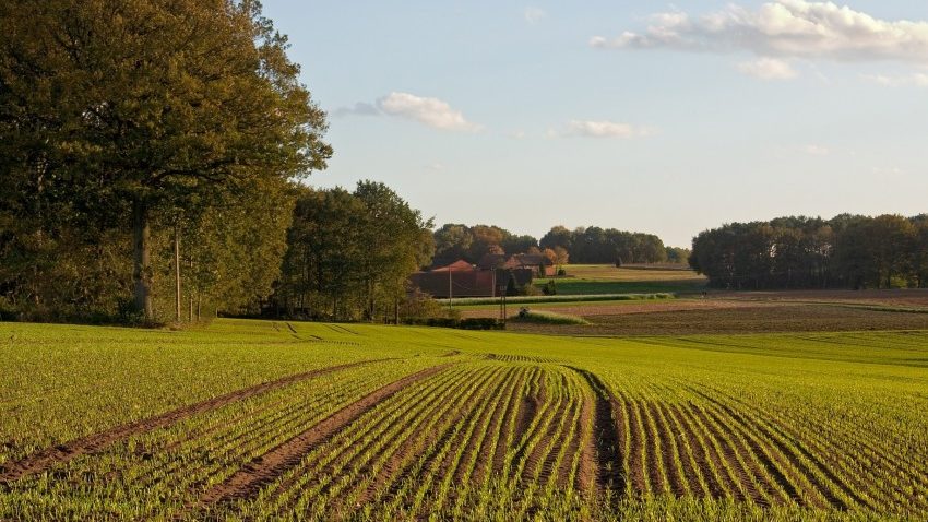 В Запорожской области у фермерского хозяйства отобрали участки земли в 52 гектара