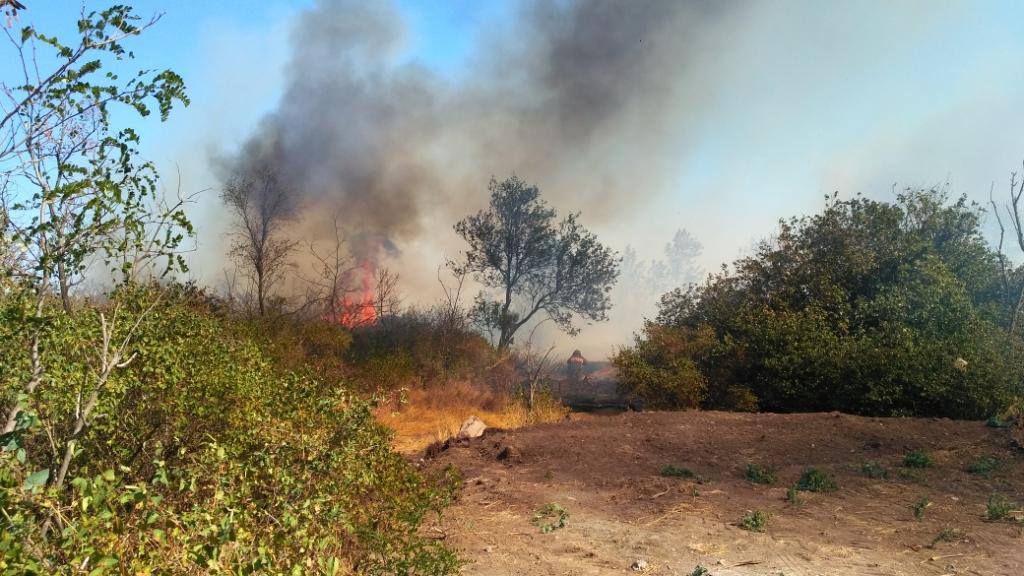 Запорожская область страдает от пожаров: за сутки произошло 103 случая возгорания природных экосистем