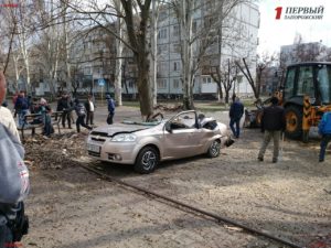 Житель Запорожской области отсудил у коммунальщиков стоимость машины, которую буквально раздавило упавшее дерево