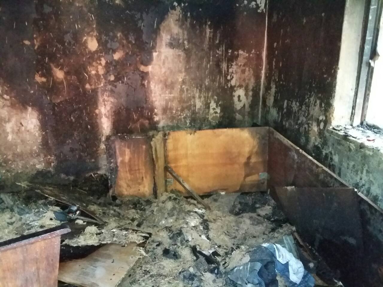В Запорожье на острове Хортица во время пожара погиб мужчина – ФОТО