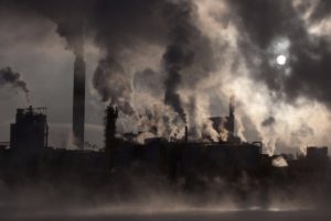 Бизнес, экология и государство: как увеличить налоги и снизить нагрузку на окружающую среду