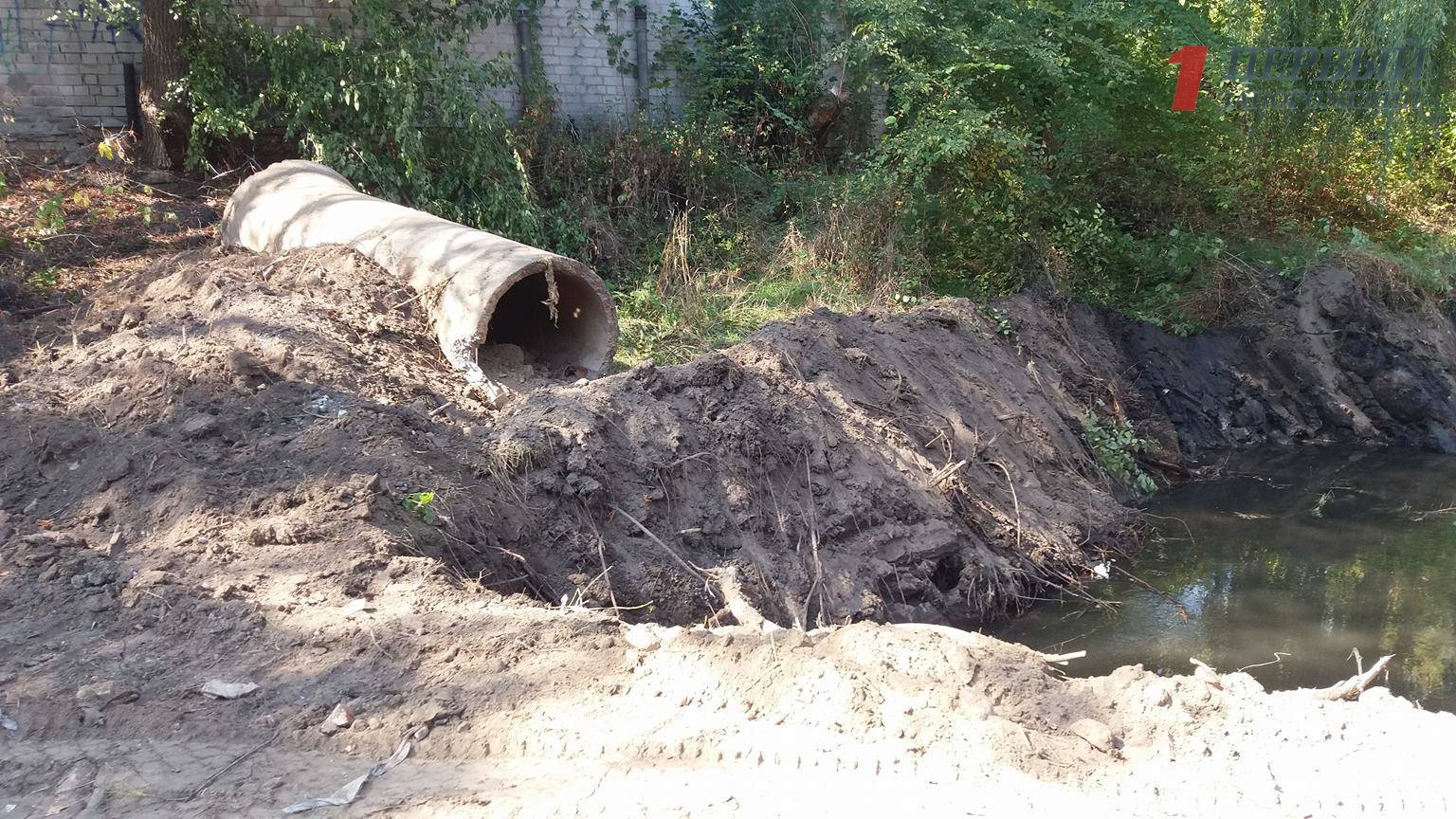 В Запорожье спасают от ила и расчищают русло реки Верхняя Хортица  - ФОТО