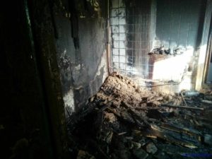 В Запорожской области произошло смертельное происшествие: в пожаре погибла женщина - ФОТО