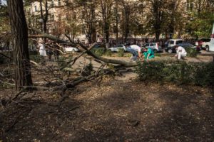 Студентка Бердянского университета погибла из-за упавшей с дерева ветки - ФОТО, ВИДЕО