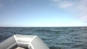 Житель Запорожской области заплыл в открытое море на резиновой лодке