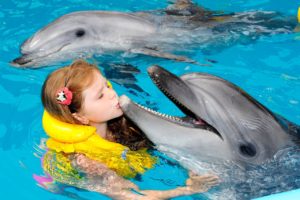 В Запорожье предлагают построить дельфинарий