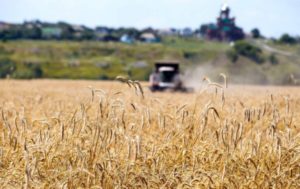 Финансовые показатели операции «Урожай» в 2017 году заметно снизились