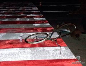 В Запорожской области легковушка насмерть сбила велосипедиста - ФОТО