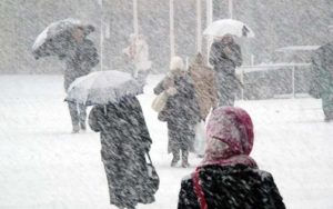В Запорожской области объявили штормовое предупреждение
