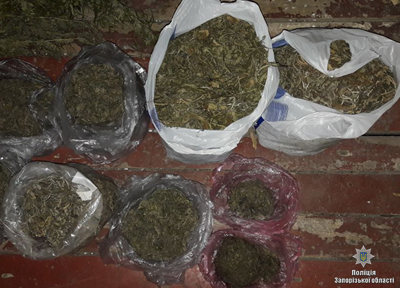 В доме у жителя Запорожской области правоохранители нашли 5 килограмм марихуаны – ФОТО