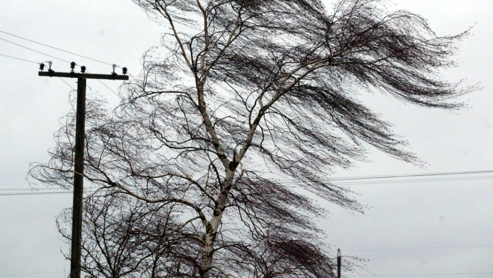 В Запорожской области из-за сильного ветра объявили штормовое предупреждение