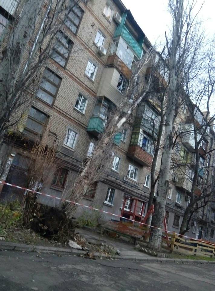 В центре Запорожья аварийное дерево свалилось на пятиэтажку - ФОТО, ВИДЕО