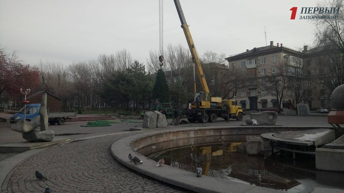 В Запорожье на площади Маяковского монтируют новогоднюю елку - ФОТО