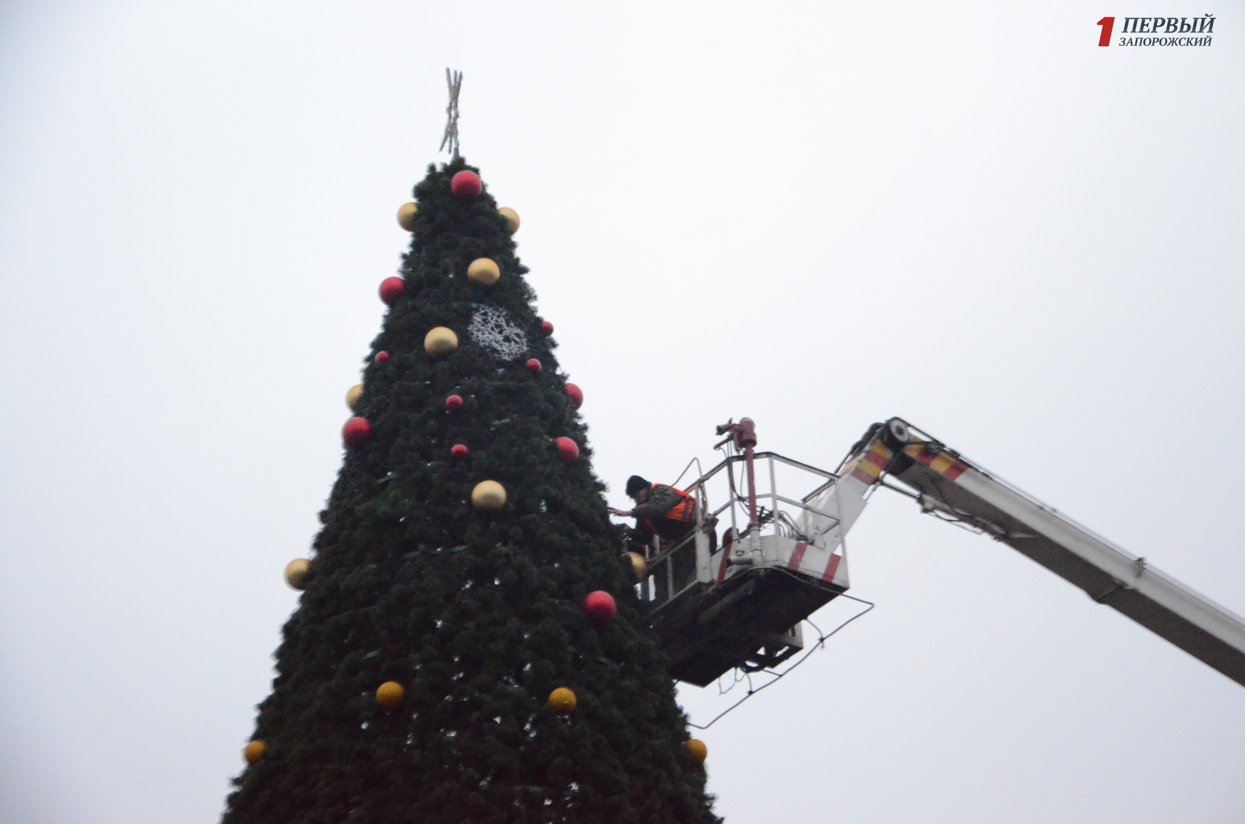 В Запорожье на площади Маяковского взялись за украшение новогодней елки - ФОТО