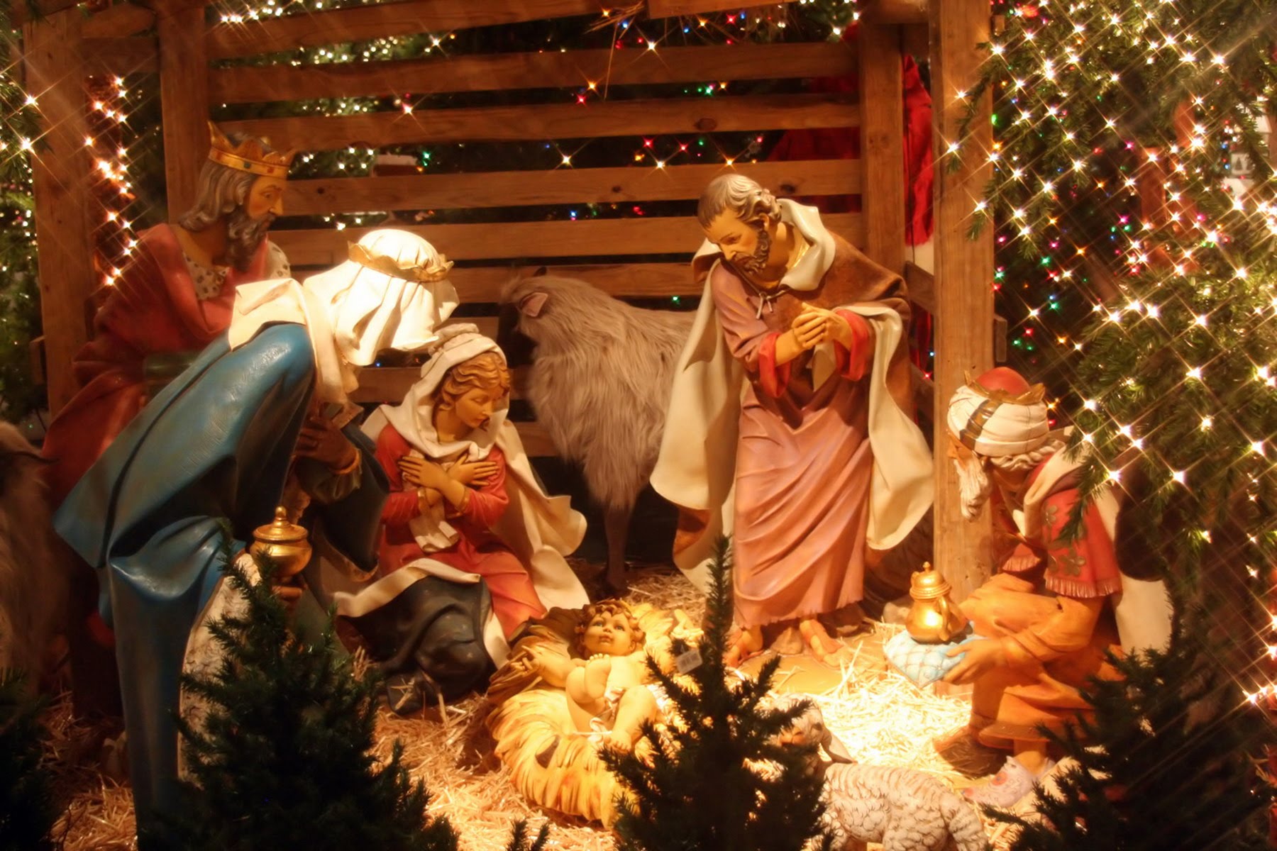 Стало известно, как Запорожье будет отмечать католическое Рождество