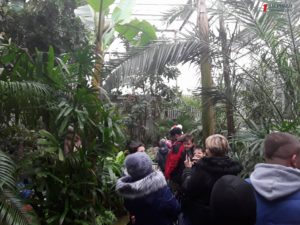 Ботанический сад удивляет запорожцев своей новой зимней теплицей - ФОТО, ВИДЕО