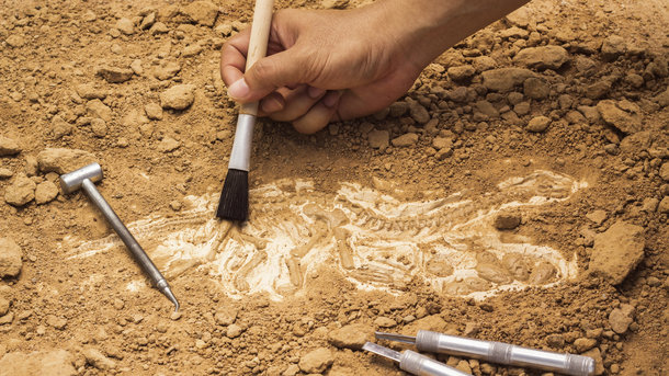 Археологи обнаружили 6000-летнюю могилу матери и ребенка - ФОТО