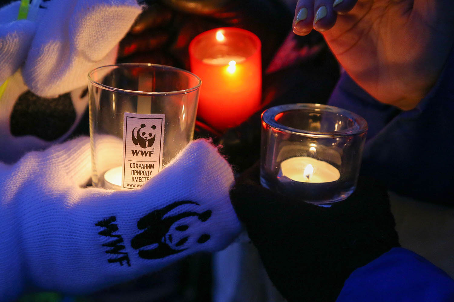 Запорожцев приглашают присоединиться к акции «Час Земли»