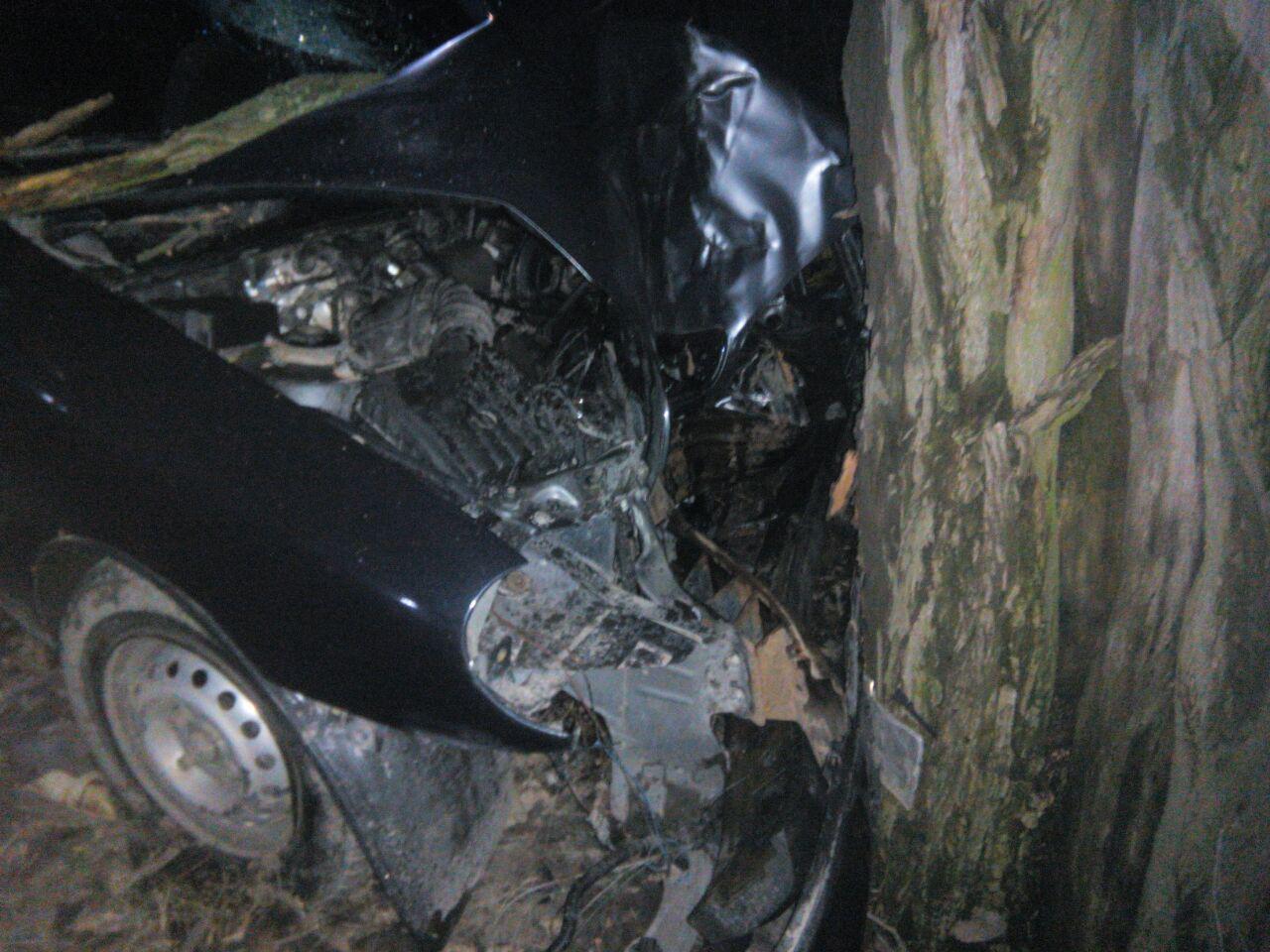 В Запорожье автомобиль такси влетел в дерево: есть пострадавший - ФОТО