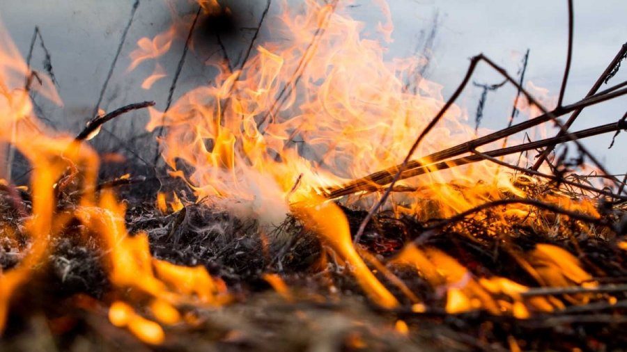 У Запорізькій області 166 рятувальників гасили пожежі в екосистемах