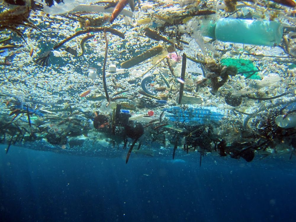 Экологи прогнозируют, что объем пластикового мусора в морях и океанах за 10 лет увеличится втрое