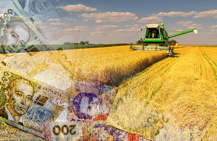 У запорожских фермеров могут отбирать урожай в случае непогашения кредита по аграрным распискам