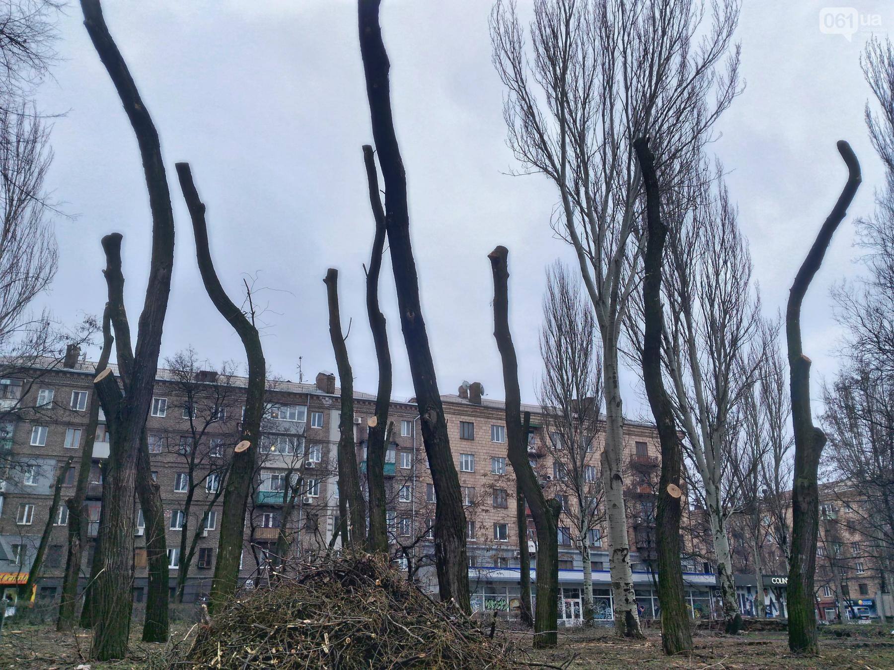 В центре Запорожья активисты принялись блокировать вырубку деревьев в парке Яланского: Кальцев пытается отстоять торговый центр