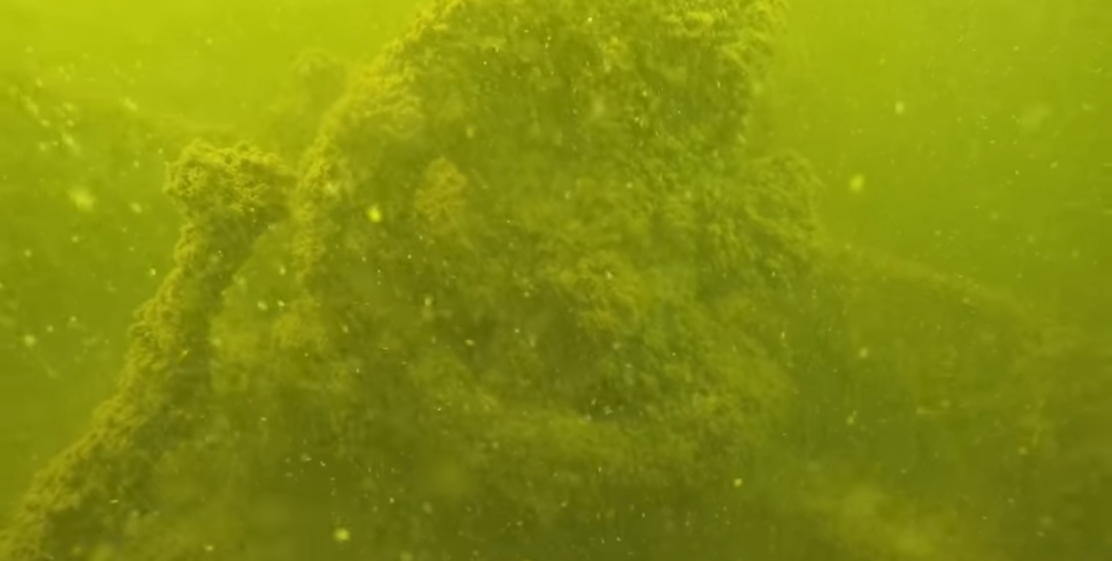 Запорожский дайвер обнаружил в водах Днепра затонувшее плавсредство времен войны – ВИДЕО