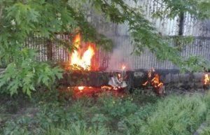 В Запорожской области горел утеплитель теплотрассы - ФОТО