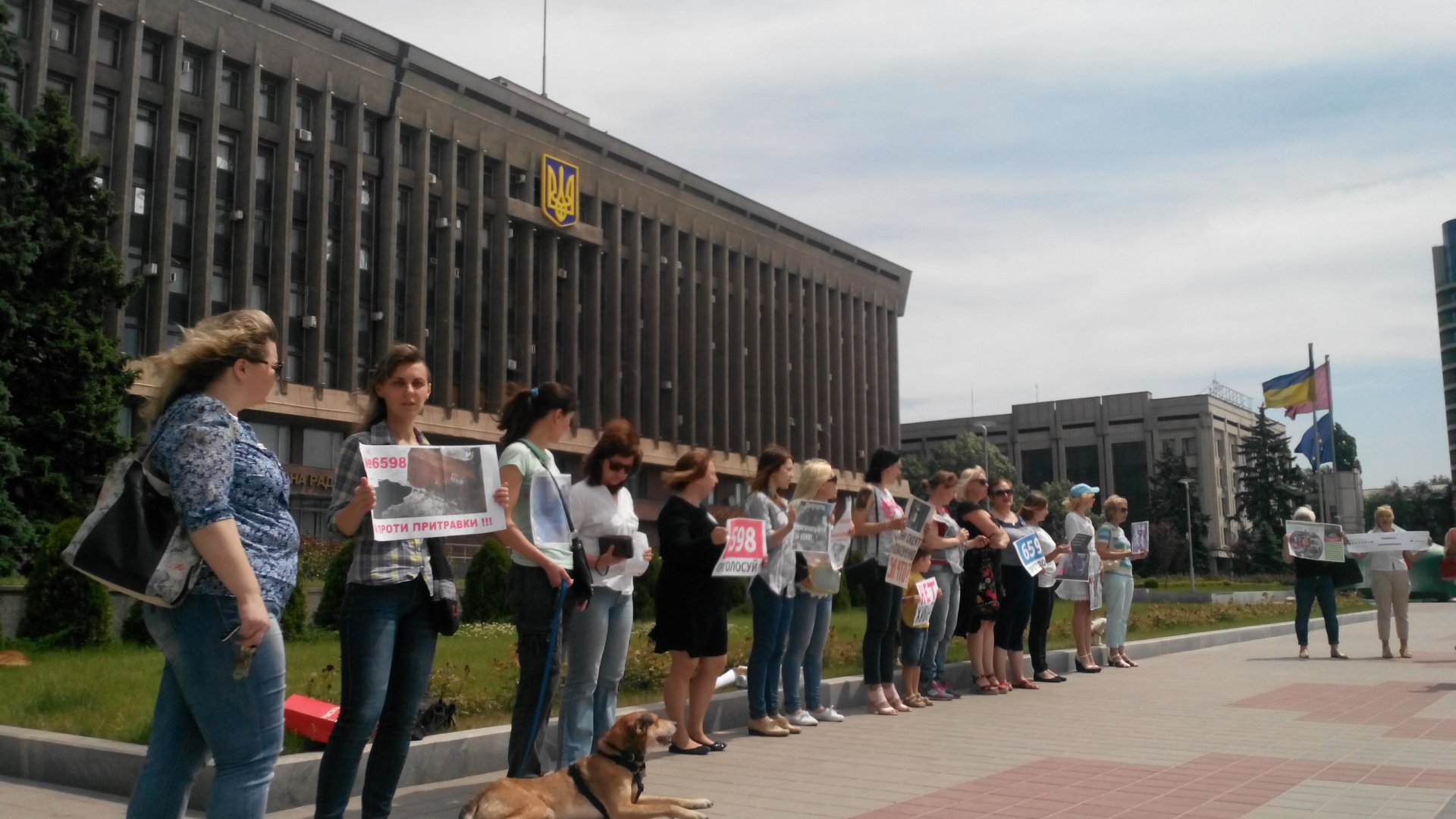 В Запорожье зоозащитники требуют запретить притравочные станции – ФОТО, ВИДЕО