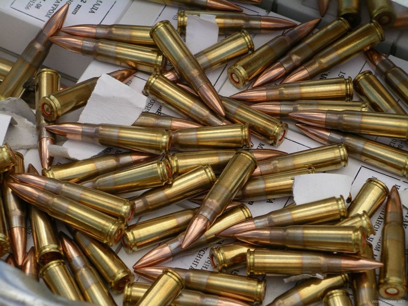 В Запорожской области правоохранители изъяли несколько десятков патронов и гранату - ФОТО