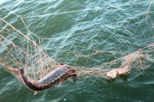 Запорожские правоохранители задержали двух любителей незаконной рыбалки - ФОТО