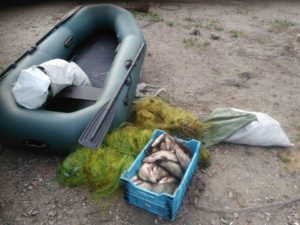 В Запорожской области браконьеры наловили рыбы на 50 тысяч гривен - ФОТО