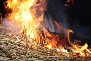 В Запорожской области горела хозпостройка с сеном
