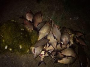 В апреле в Запорожской области выявили 107 фактов браконьерства - ФОТО