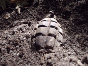 Отголоски прошлого: в запорожском селе обнаружили полсотни гранат