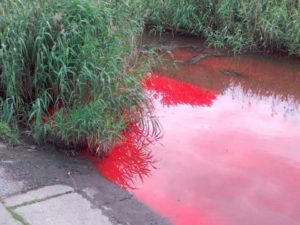 В запорожской экоинспекции подтвердили, что история с «красной рекой» – фейк