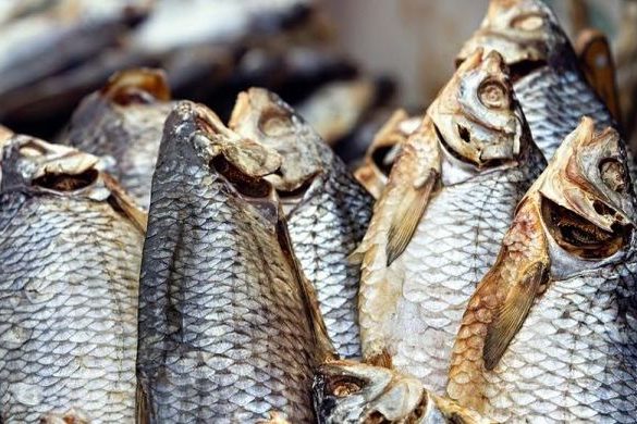 В Запорожье мужчина поел вяленой рыбы и скончался от ботулизма