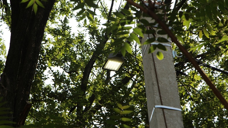 В Запорожье вандалы украли четыре уличных светильника