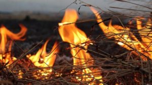 В Запорожской области горели 400 тюков соломы - ФОТО