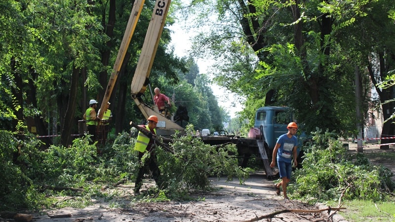 В Заводском районе Запорожья избавляются от аварийных деревьев - ФОТО