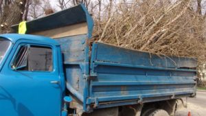Запорожские коммунальщики убирают поваленные деревья и ветки