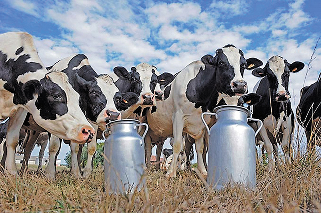 В Запорожской области открыли двенадцатую молочную ферму семейного типа