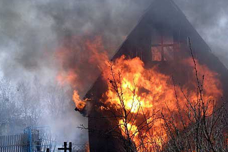В Запорожской области произошел пожар в дачном кооперативе